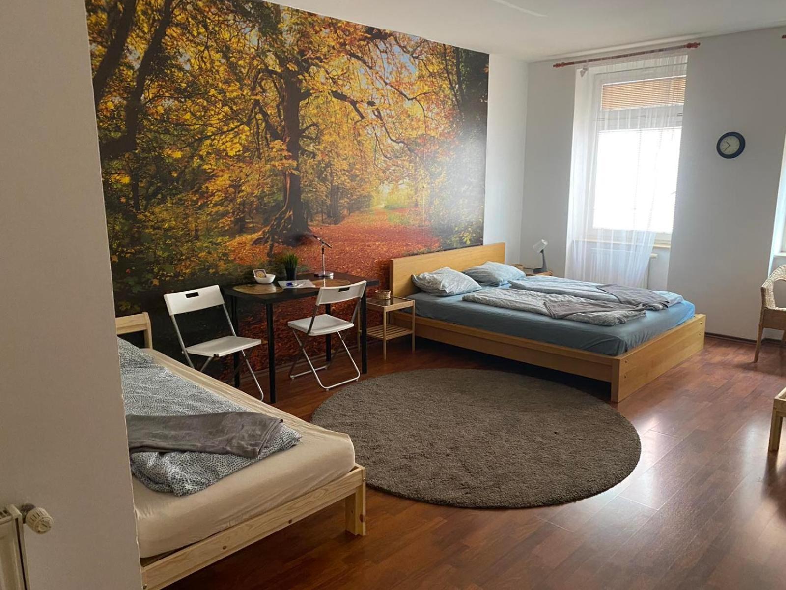 Apartments Spolkova برنو المظهر الخارجي الصورة
